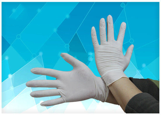 Buy Elasticity Surgical Hand Gloves , Polythene Disposable Gloves Smooth Surface at wholesale prices