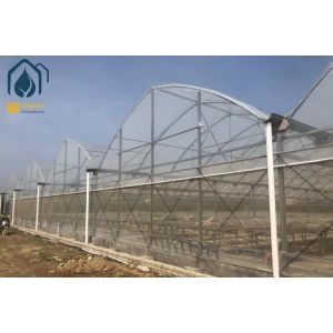 Multi Span Agriculture Greenhouse For Sustainable Crop Cultivation
