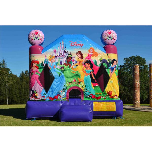 Buy Fire - Resistant Inflatable Bouncer , Blow Up Disney Princess Jumping Castle at wholesale prices