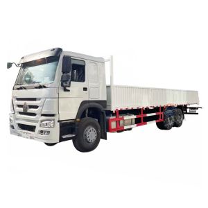 Export HOWO 6 * 4 Cargo Transporter Delivery Truck