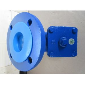 Quality ANSI Y strainer FLANGED ENDS for sale