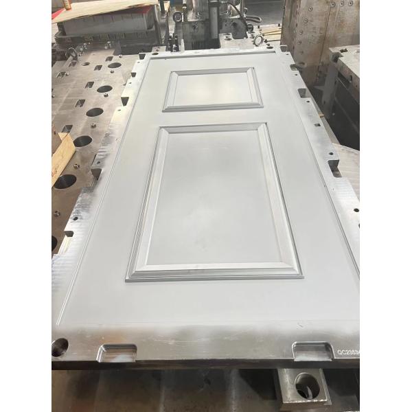 100000 Shots SMC Door Skin Mold