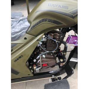 Three Wheel Motorcycle Scooter Trike Petrol Type Motorcycle 1000W Motor for 1