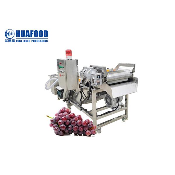 Buy 500kg/hr Vegetable Washing Machine Grape Processing Machine Into Raisins at wholesale prices