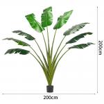 China 200cm Traveller'S Palm Artificial Landscape Trees For Low Maintenance Evergreen Plants for sale