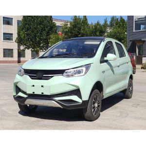 Solar Powered Electric Police Car For City Patrol 10KW 23KW.H