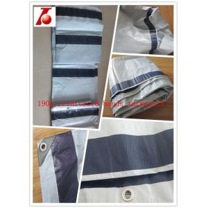 Quality 4*6m,white color, reinforced bands, PE Tarpaulin sheet for sale