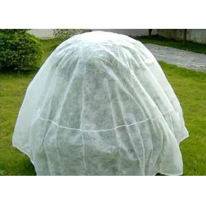 Transparent Non Woven Landscape Fabric