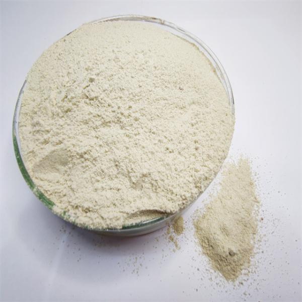 Chelated Micronutrients Fertilizers For Blossom Rot Prevention In Tomatoes and fruits trees