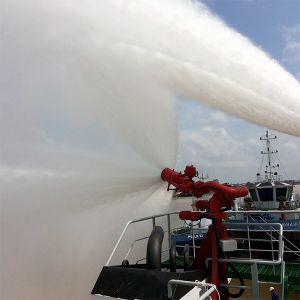 CCS Approved 600m3/h One Quater Marine External Fire Fighting FiFi System