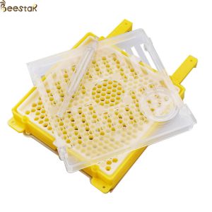 Plastic Queen Rearing System Queen Breeding Tool Kit Beekeeping Tools For Queen