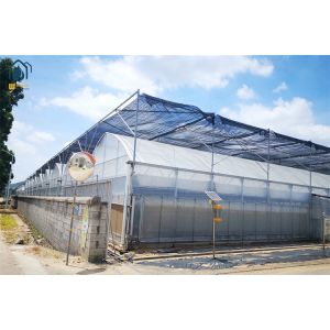 Commercial Multi Span Plastic Agricultural Greenhouse With Polyethylene Cover