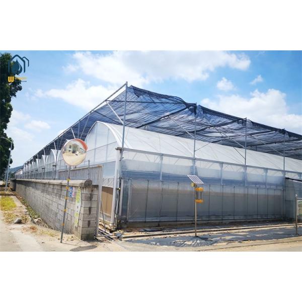 Buy Commercial Multi Span Plastic Agricultural Greenhouse With Polyethylene Cover at wholesale prices