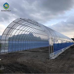 0.5KN/M2 Clear Polythene 4m Single Tunnel Greenhouse