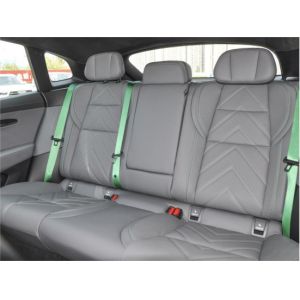 Yellow Byd Seagull Hatchback Vehicle Automobile Pure Electric 5 Seat