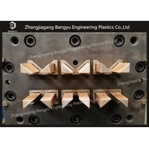 Extruder Mold Mould Die for Heat Insulation Strips Which Inserted in Aluminum