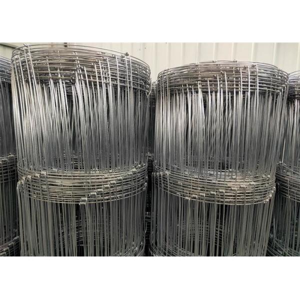 1.5m 50m Galvanized Deer Hinge Joint Wire Mesh Roll Rectangle Hole Livestock
