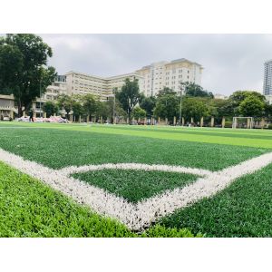 Synthetic Grass Carpet Landscaping Turf Artificial Grass football field