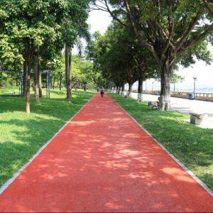 IAAF Certified Prefabricated Running Track Rubber Jogging Track EPDM Particles