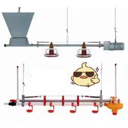 Buy Galvanized Chicken Raising Equipment Poultry Drinking Line Raised Chicken Waterer at wholesale prices