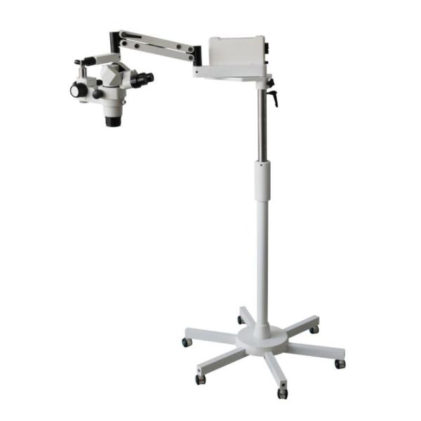 Buy Variable Dental Operating Microscope With 55mm-80mm PD Adjustable Range at wholesale prices