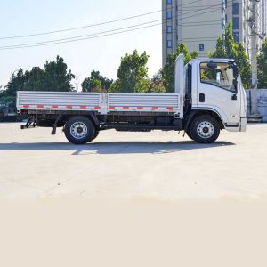Shacman 4*2 Standard Truck Commercial Truck Fence Truck