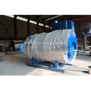 Stainless Steel Gas Fired Steam Boiler Multiple Protection Industrial Natural