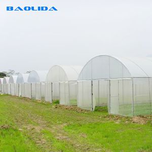 150mic PE Film Tunnel Plastic Greenhouse With Galvanized Steel Frame