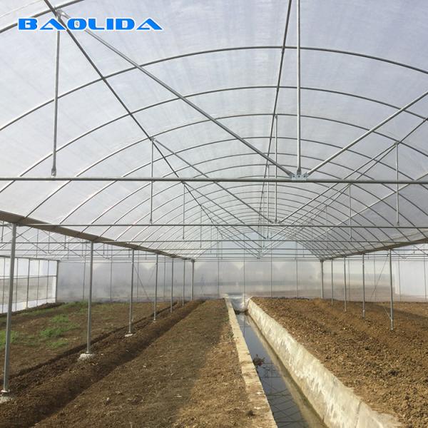 Buy Multi Span Frame Plastic Film Greenhouse For Vegetable Agricultural Animal at wholesale prices