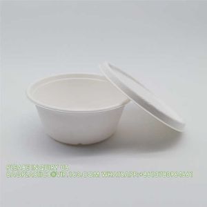 Eco Friendly Bowls 100% Compostable Disposable Biodegradable Sugarcane Bagasse
