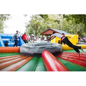 Customized Size Inflatable Carnival Games Interactive Hippo Ball Games