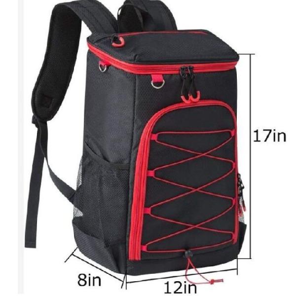 Buy 30 Cans Multifunction Nylon Food Insulated Cooler Backpack at wholesale prices