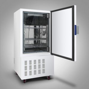 China PID Cooling Incubator For Bacterial Culture on sale