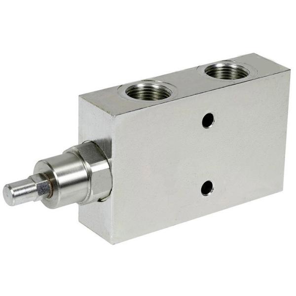 High -quality Hydraulic Systems overcenter Valve Set double / Single Cartridge