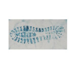 G031 BTXJ-VI Amido black 10B latent blood footprint developer