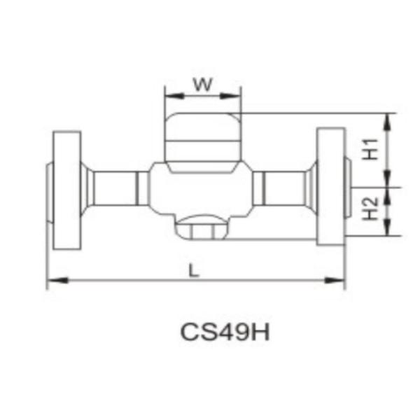 Stainless Steel Y Strainer Valve
