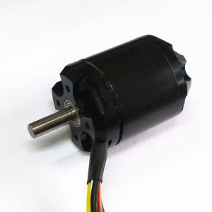 14 Poles Sensored Brushless DC Motor