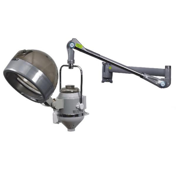 Buy Professional Hair Steamer Dryer Adjustable Iron Cover With Time Display at wholesale prices