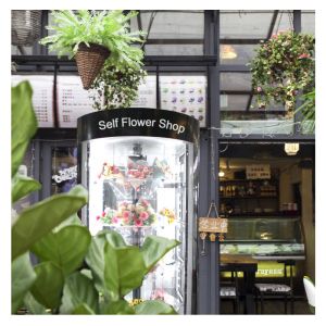 Jasmine Flower Bouquet Vending Machine Rose Carnation Steel Cabinet