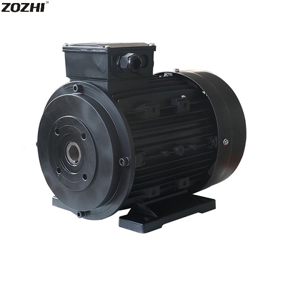 hollow shaft motor