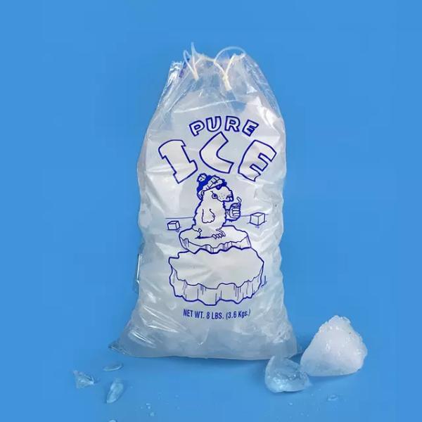 Buy Biodegradable Transparent ICE Drawstring Printed Plastic Bag at wholesale prices