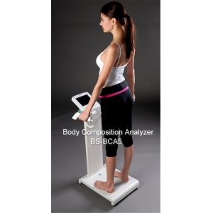 Touch Screen Body Composition Analyzer For Body Fat / Nutrition Analysis With