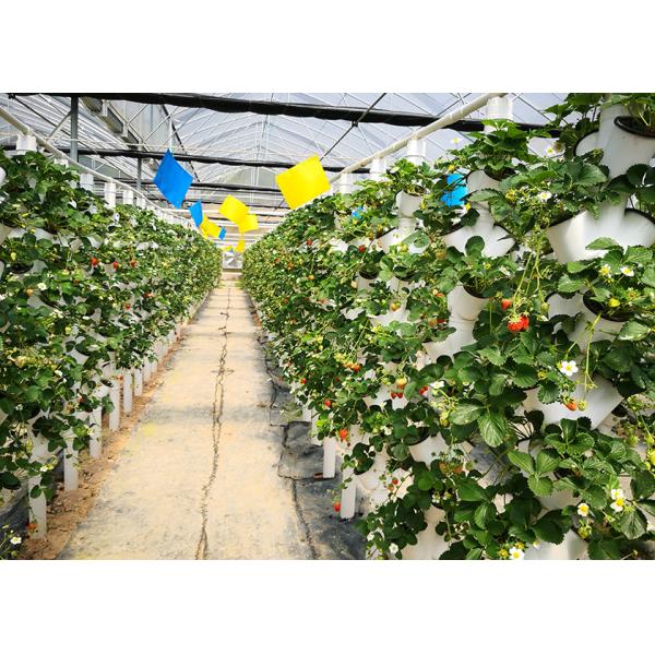 Buy Automated Vertical Nft System For Vegetables Irrigation Hydroponics Eqiupment at wholesale prices