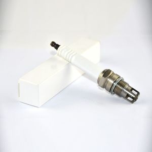 R10P7 Torch Spark Plug Specially Designed to Match for jenbach-er