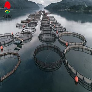 Freely Designed Commercial Fish Pond 2mm Waterproof Geo Membrane Artificial Lake