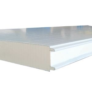 High Density White Cleanroom Sandwich Panel Fireproof Wall Sandwich Panels