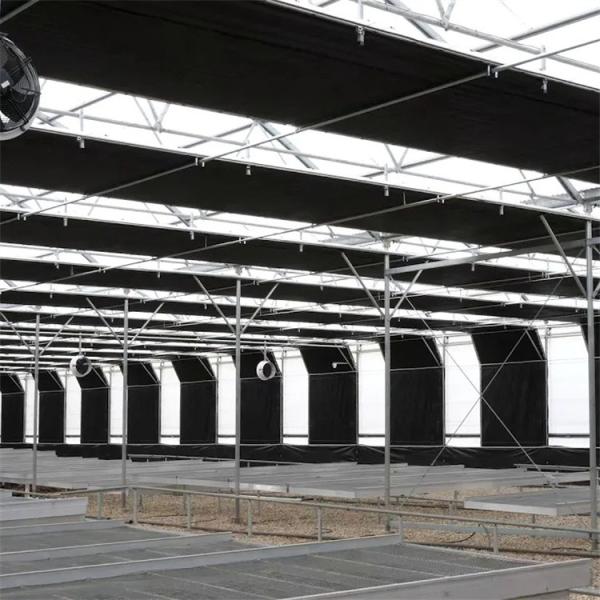 Buy Turnkey Project Usa Tunnel Automatic Blackout Greenhouse Agricultural Plant Growing at wholesale prices