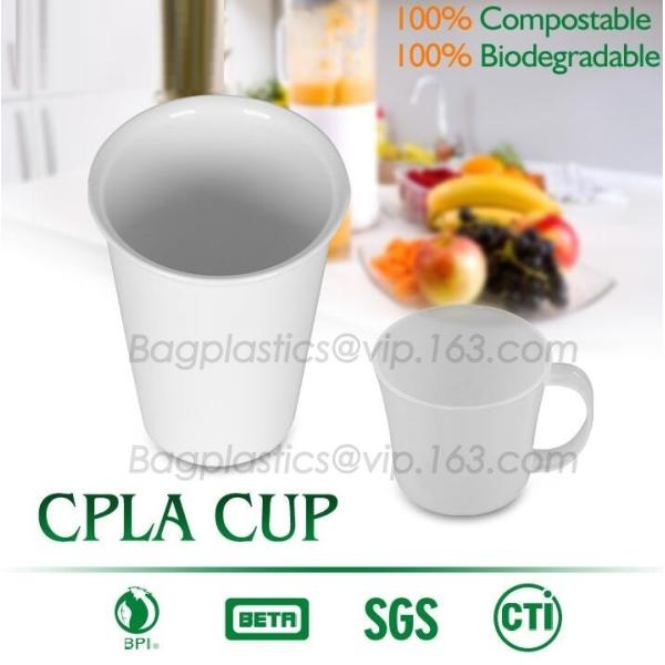 Buy 16 oz PLA compostable coffee paper cup with CPLA compostable lid,100% compostable pla coated paper cup 6OZ with CPLA Lid at wholesale prices