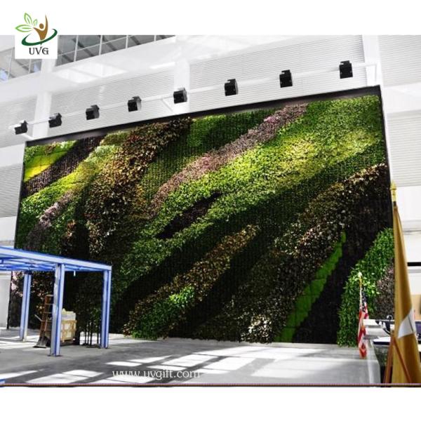 UVG Indoor and Outdoor Decorative Living Plants walls Vertical Garden Wall office decor