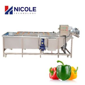 Small SUS Vegetable Fruit Cleaning Machine Air Bubble Washer Belt Type